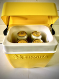 Singha Cooler Set